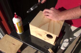 How to Build a Bird Nesting Box