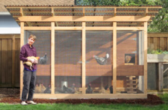 How to build your chicken coop